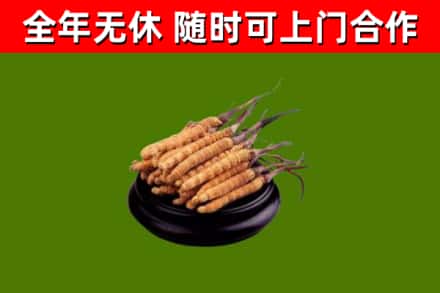 长春市烟酒回收冬虫夏草.jpg